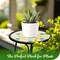 G128 12 in Round Glass Outdoor Side Table Green Mandala Pattern | Decorative Plant Stand, Small End Table for Garden Patio Porch Living Room